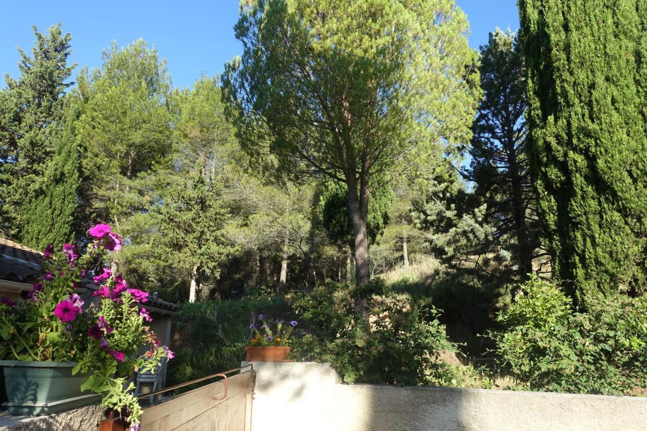 Gite Du Fenouil Lezignan-Corbieres Exterior photo